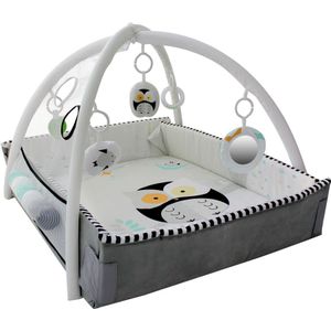 Tryco 5-in-1 Lovely Owl Ball Play Activity Gym Speelkleed TR-140203