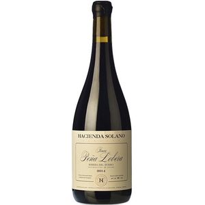 Hacienda Solano Finca Peña Lobera 2021