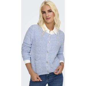 Cardigan Blauw