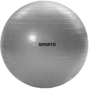 Fitnessbal incl. Pomp 65 cm grijs