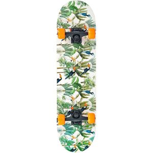 Skateboard - compleet - papegaai design - 78 cm - 7.87 inch