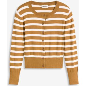 Fijngebreid vest met strepen