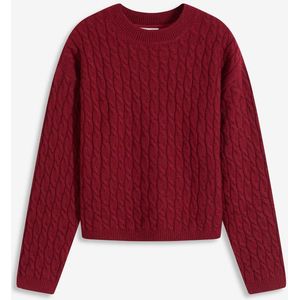 Trui met vlechtpatroon