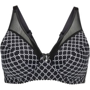 Minimizer bh met mesh