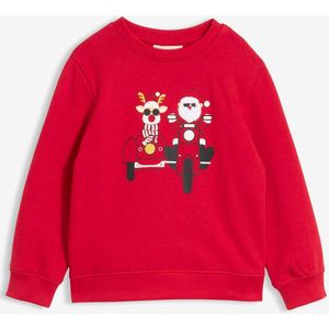 Sweater met kerstmotief van puur biologisch katoen