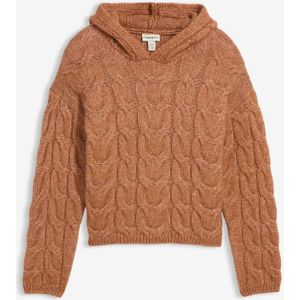 Gebreide hoodie van een zachte wolmix