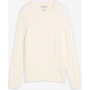 Grof gebreide trui met kabelpatroon van recyclebaar biologisch katoen
