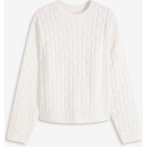 Trui met vlechtpatroon