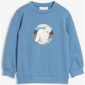 Sweater van biologisch katoen