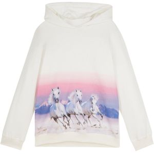 Hoodie van biologisch katoen