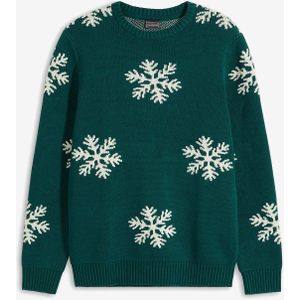 Trui met een winterse print