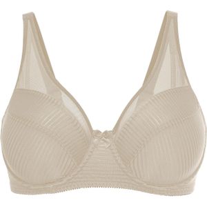 Minimizer bh met mesh