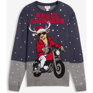 Trui met kerstmotief