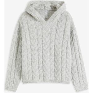 Gebreide hoodie van een zachte wolmix