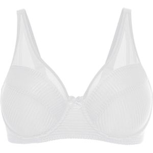 Minimizer bh met mesh