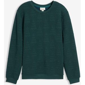 Sweater met kerstboommotief