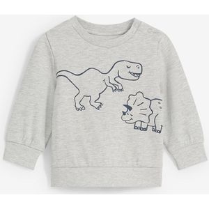 Baby sweater met Dino-print van biologisch katoen