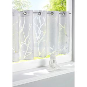 Valletje van ausbrenner