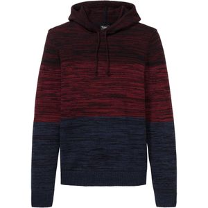 Fijn gebreide trui met capuchon van zachte katoenmix