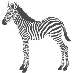 Estahome Zebra's Fotobehang  - 1,5 x 2,79 m - Zwart / Wit
