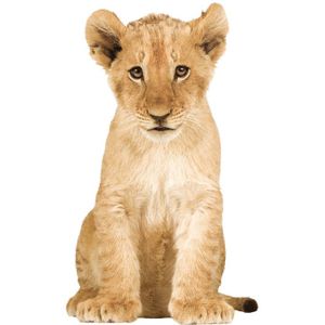KEK AMSTERDAM Safari Friends Muursticker Lion Cub XL