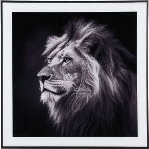 Present Time Photo Art Glas Lion - Zwart / Wit