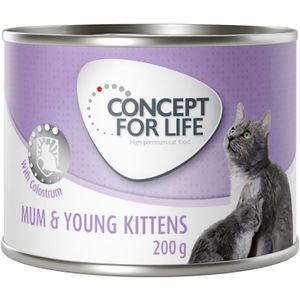 6x200g Mum & Young Kittens Mousse Concept for Life Kattenvoer