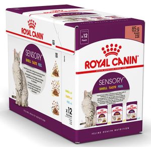 96x85g Sensory Smell Taste Feel in Saus Royal Canin Kattenvoer