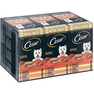 24 x 150 g Classic Terrine Megapak Cesar Hondenvoer