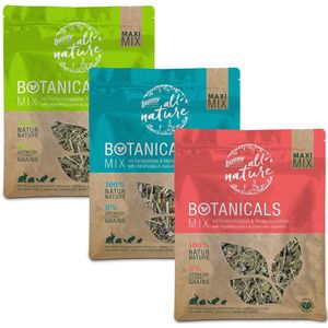 3x550g (3 soorten) Bunny Botanicals Maxi Mix Kleine Dierensnacks