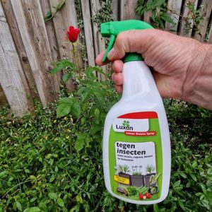 Luxan Delete Spray tegen bladinsecten - Gebruiksklaar