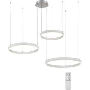 Just Light LILLUTI 15156-55 LED-hanglamp LED 52 W Staal