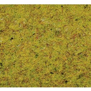 NOCH 50190 Strooigras Zomer Weide Groen (gemiddeld)