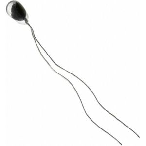 Honeywell SPS Temperatuursonde