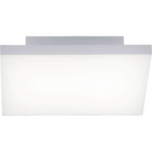 Paul Neuhaus Frameless 8490-16 LED-paneel 17 W Warmwit, Neutraalwit, Daglichtwit Wit