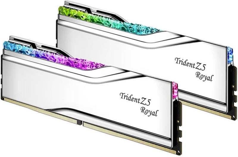 G.Skill F5-6400J3039G16GX2-TR5S Werkgeheugenmodule voor PC DDR5 32 GB 2 x 16 GB 6400 MHz 288-pins DIMM F5-6400J3039G16GX2-TR5S