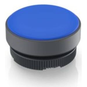 RAFI 1.74.508.001/2600 Verlichte kap Blauw 1 stuk(s)