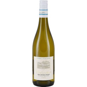Terre Italiane Verdicchio dei Castelli di Jesi Classico 2024