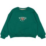 The New jongens sweater - Groen