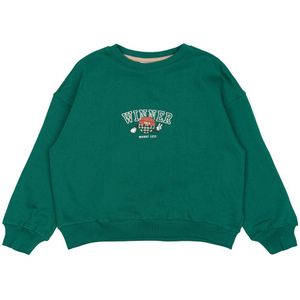 The New jongens sweater - Groen