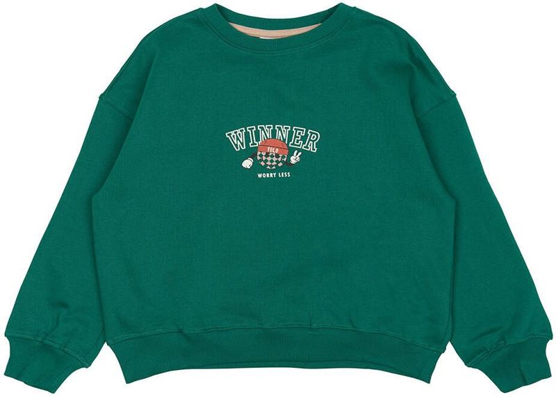 The New jongens sweater - Groen