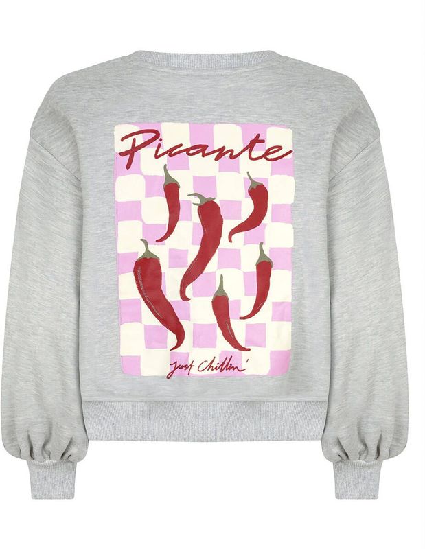 Ydence - Just Chillin - Sweater - Grijs