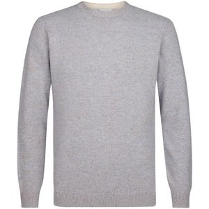 Profuomo Pullover PPVJ30044E Blauw