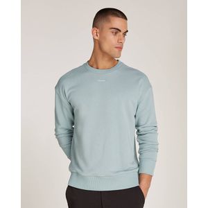 Calvin Klein Sweatshirt K10K112870 Licht blauw