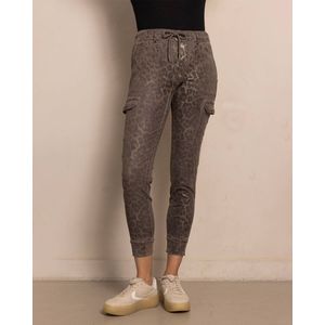Zhrill Broek N176-N937 DAISEY Bruin