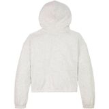 TOMMY HILFIGER - Hoodie - Mêleegrijs - Katoen/Polyester - Met Kap