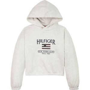 TOMMY HILFIGER - Hoodie - Mêleegrijs - Katoen/Polyester - Met Kap