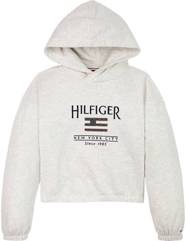 TOMMY HILFIGER - Hoodie - Mêleegrijs - Katoen/Polyester - Met Kap
