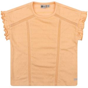 Daily 7 T-shirt D7G-S24-3101 Oranje