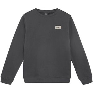 Indian Blue - Sweat 960354 - Midden Grijs - Truien